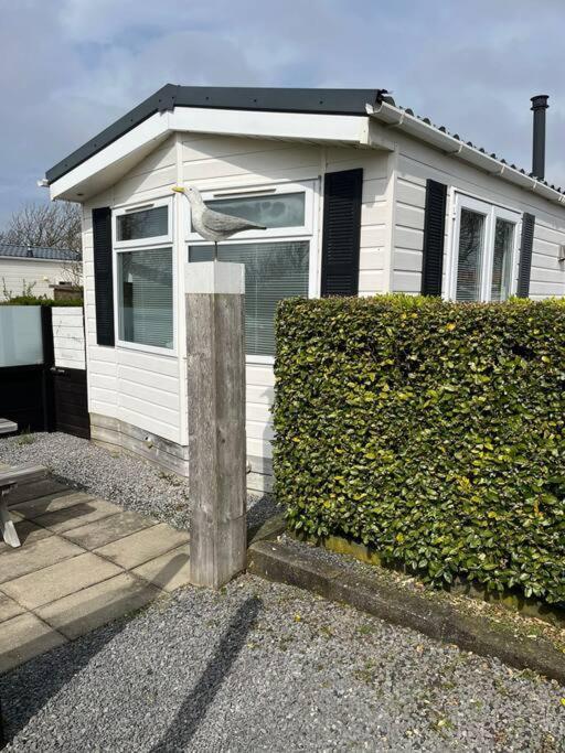 Chalet + Tiny House Nabij Strand 佩滕 外观 照片